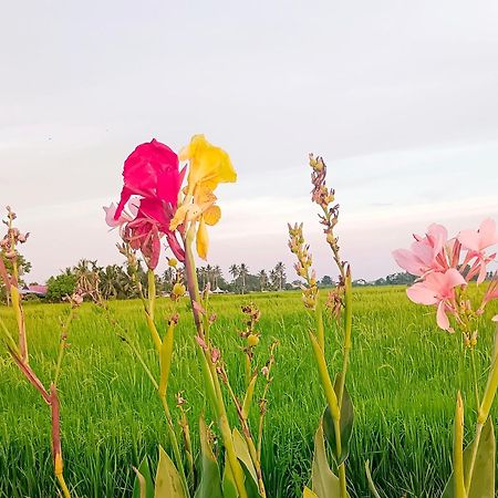 Kurau Inn Farmstay Kuala Kurau Eksteriør billede
