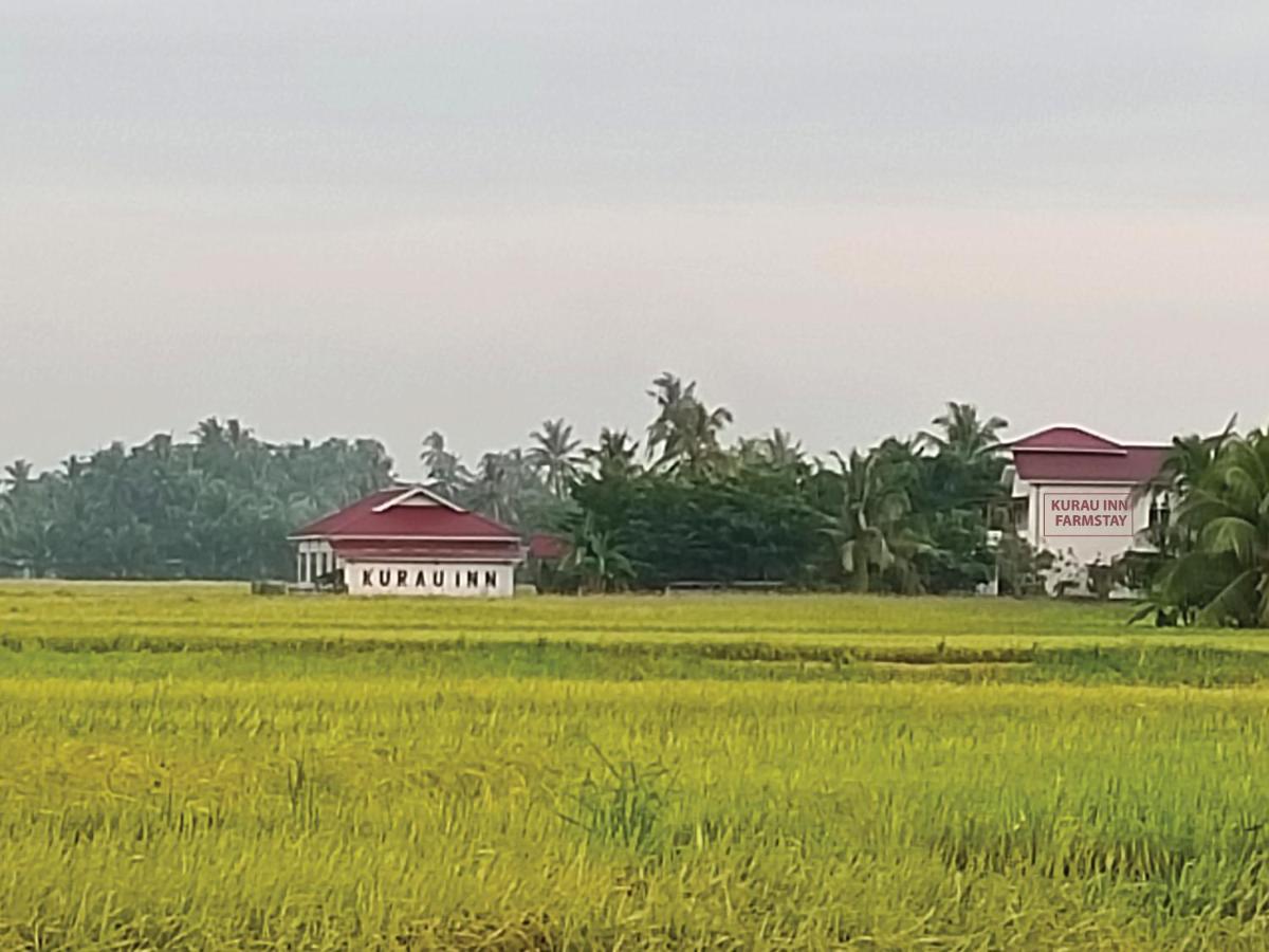 Kurau Inn Farmstay Kuala Kurau Eksteriør billede