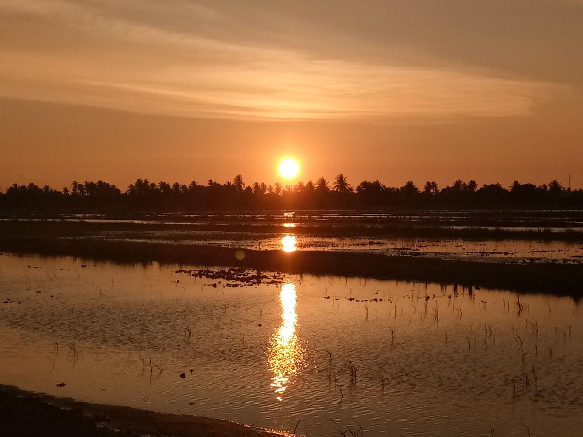 Kurau Inn Farmstay Kuala Kurau Eksteriør billede